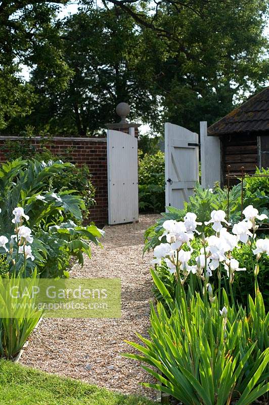 Gravel pathway leading to large white gates in walled country garden. 