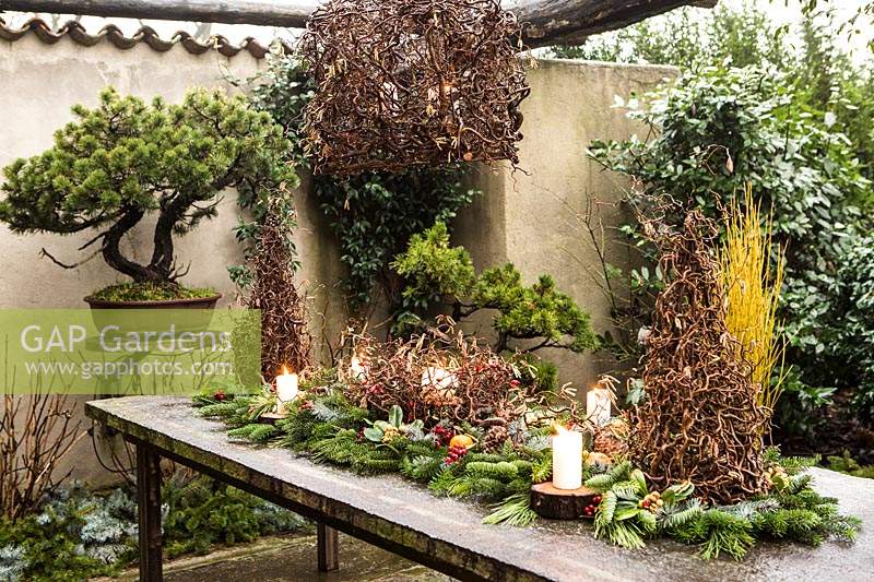 Outdoor table display made with: twisted branches of Corylus avellana 'Contorta' - Harry Lauder's Walking Stick and cut branches of Abies nordmanniana, Picea pugnes 'Hopsii', Pittosporum tobira berries, pine cones, candles and mandarins