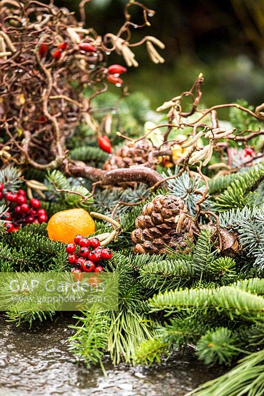Outdoor table decoration made with Corylus avellana 'Contorta', branches of Abies nordmanniana, Picea pugnes 'Hopsii', rosehips pine cones and mandarins