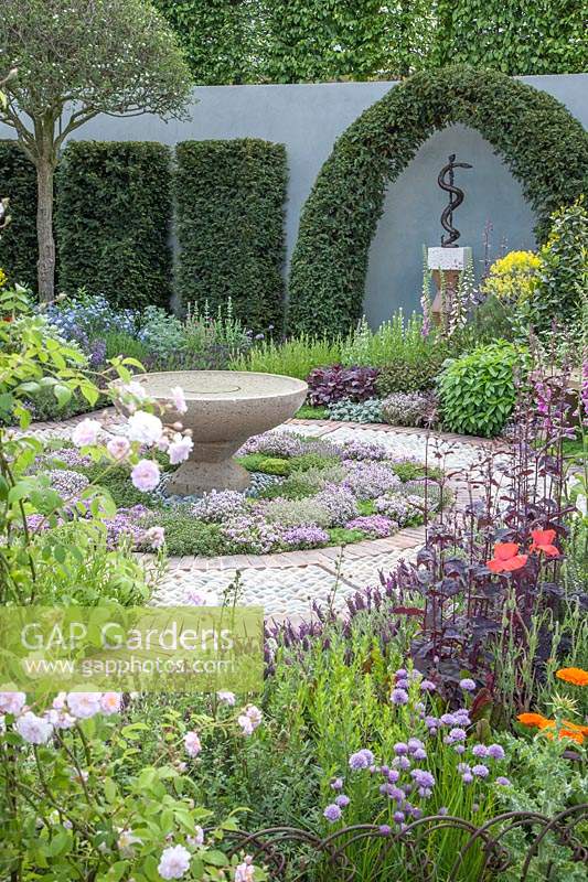 Contemporary Apothecary Garden with large water-basin. Edible herb-lawn of Thymus serpyllum varieties syn. thyme. Sculpture of Aesclepius' staff, the symbol of healing, framed by topiary Taxus baccata syn. clipped yew. Allium schoenoprasum syn. chives. Rosa syn. rose. Papaver rhoeas syn. field-poppy. Digitalis syn. foxglove. Lavandula viridis syn. green lavender, lemon lavender. Lavandula dentata 