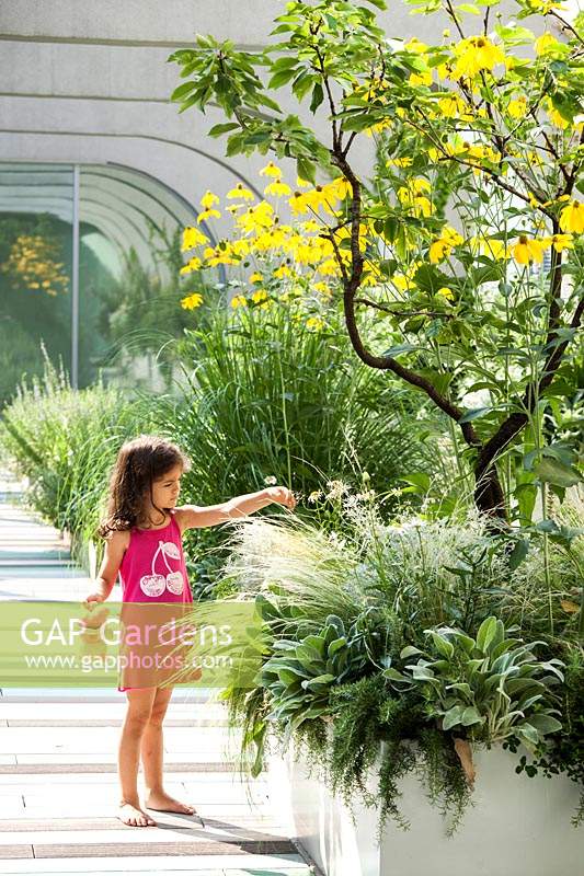 Child playing on the terrace beside container planted with  lush perennial grasses and herbaceous plants