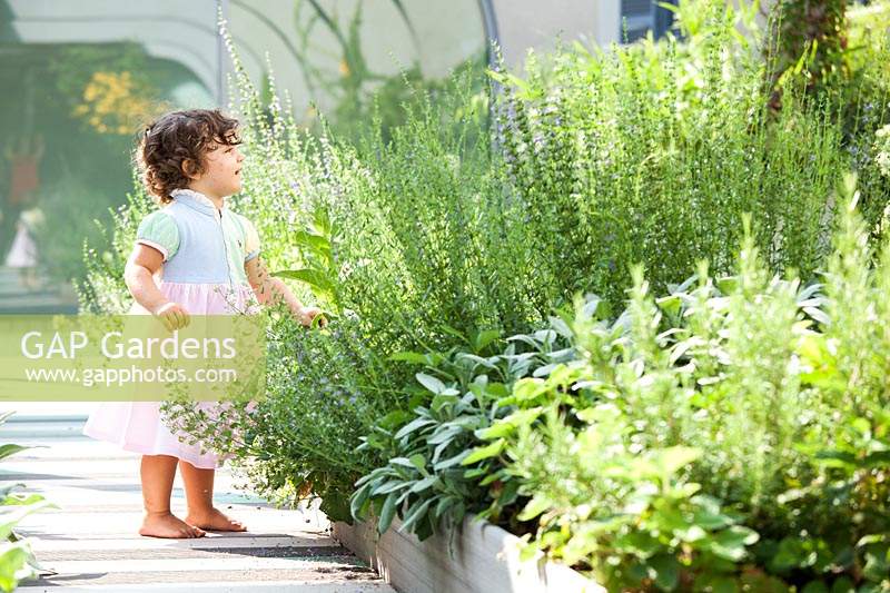Child standing on a terrace with containers planted with  perennial grasses and herbaceous plants
