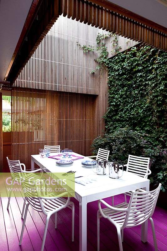 Dining area in small enclosed courtyard, with planting of Partenocissus henryana and Loropetalum chinense 'Burgundy'. 