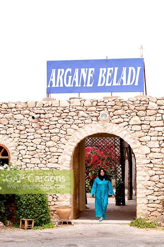 Argan Beladi, Women cooperation, Essaouira, Morocco 