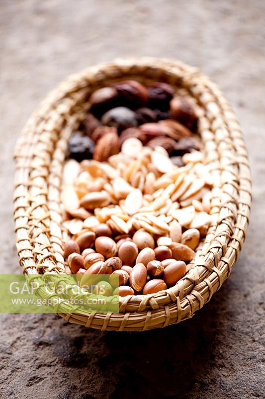 Basket of Argan nuts and seeds. 