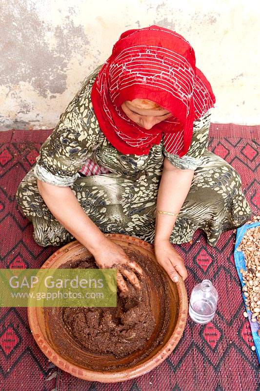 Woman working with Argan nuts to obtain oil