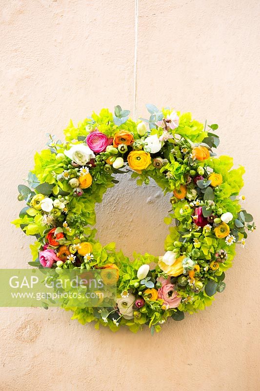 A crown of green sponge with: Hydrangea inflorescences, mixed Ranuculus - Buttercup, Freesia and Tulipa - Tulip, Matricaria, Peach blossom and Eucalyptus  leaves
