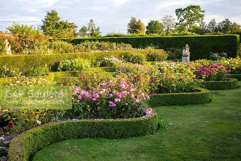 View over lawn to rose beds with serpentine Buxus - Box - edging in The Renaissance Garden 