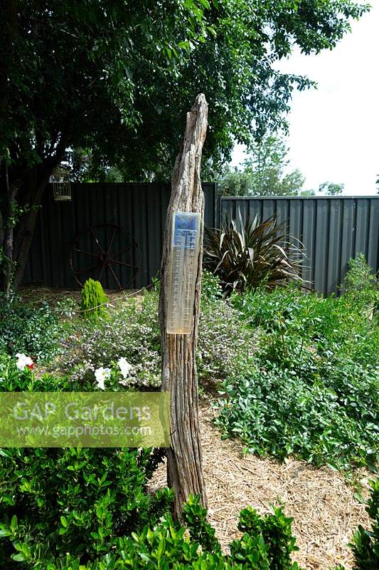 A freestanding rustic timber branch with a plastic rain gauge mounted on it.
