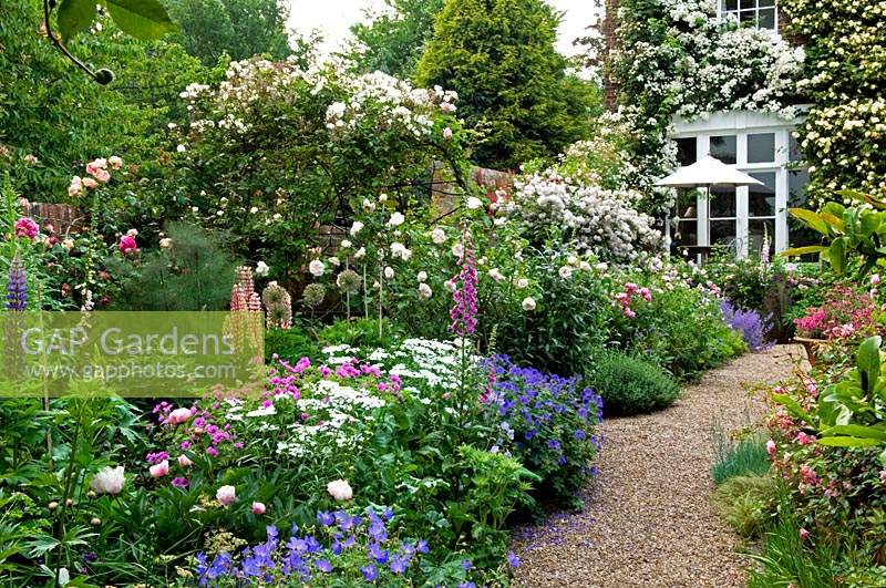 View along typically English flower border, with Rosa - Rose - arch, Geranium, Lupinus - Lupin, near gravel path to house