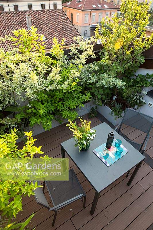 Table and chairs on a small terrace with a mix of screening shrubs, looking down from above with rooftops in view