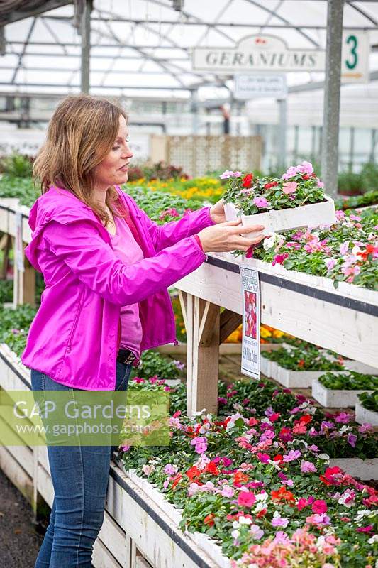 Buying trays of bedding plants at a garden centre