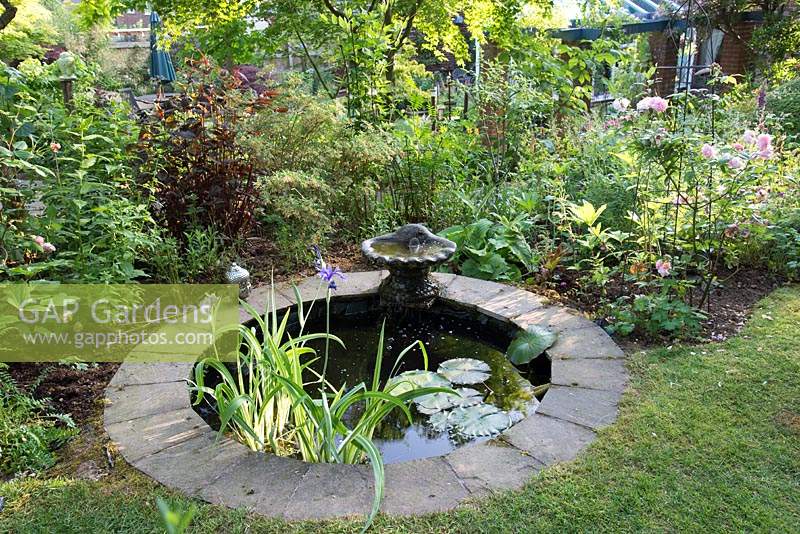 Circular small pond, between lawn and by flower bed, in mature urban garden