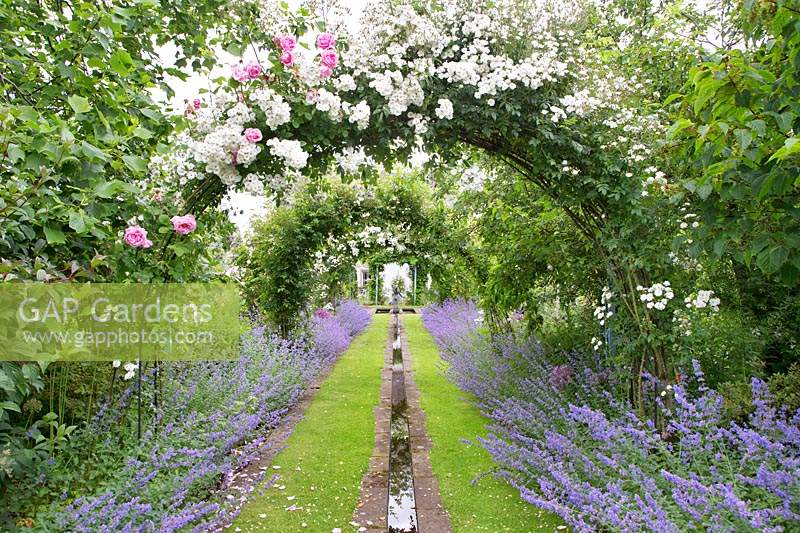 A series of arches featuring a central rill and climbing roses: Rosa 'Seagull', Rosa 'Wedding Day', Rosa 'Bobbie James' and Rosa 'Caroline Testout', borders of Nepeta Six Hills Giant - Catmint