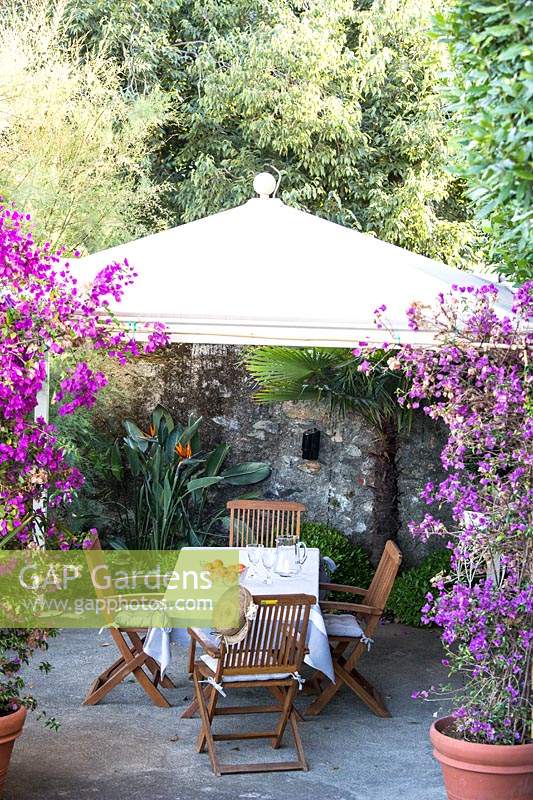 View through pots of Bougainvillea to a dining area under a gazebo