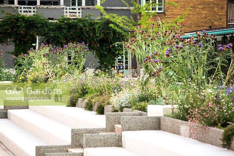 View along flights of white steps with grey edging up to beds of flowering perennials