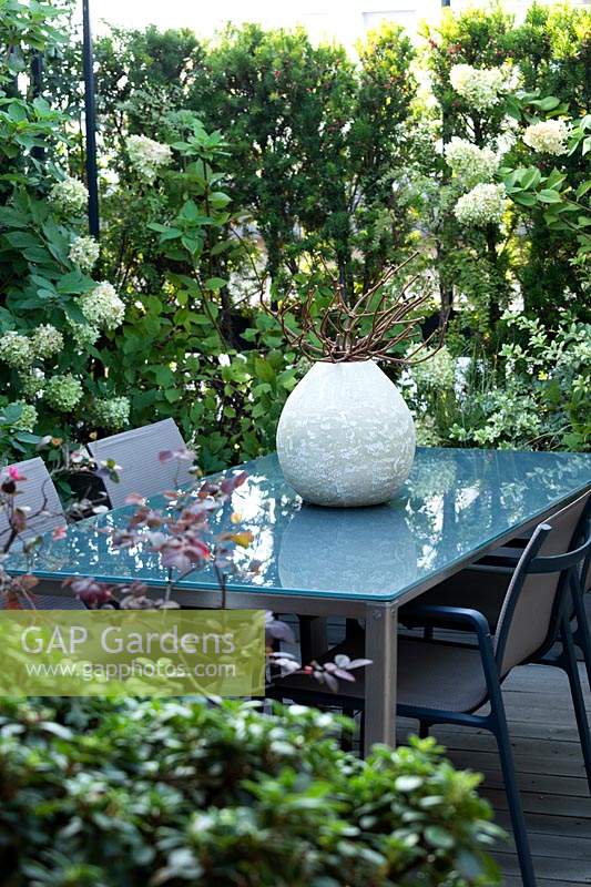 A dining corner on a terrace, plant screening from Hydrangea 'Limelight', in the foreground purple-leaved Loropetalum 'Black Pearl'