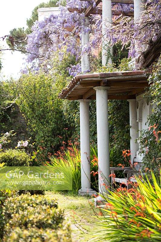 View of roofed columns over a seat with Chasmanthe floribunda on either side, Wisteria aobve 