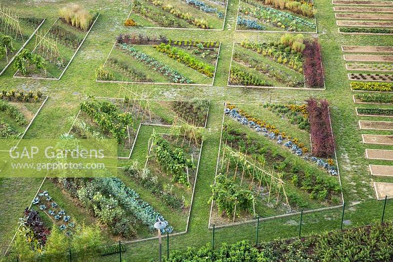 Overview of a kitchen garden showing the geometry of the beds and the oblique arrangement of the rows