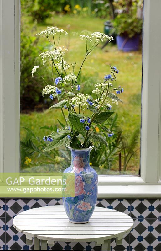 Pentaglottis sempervirens - Green Alkanet - Anthriscus sylvestris - Cow Parsley - in a vase on a table in front of the garden window 