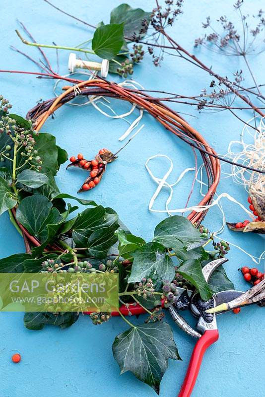 Red stemmed willow forms the circle of the wreath to attach orange Iris foetidissima berries, Ivy and seed heads foraged from the garden.