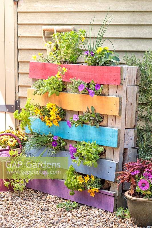 Pallet planter filled with colourful bedding and herbs and painted with rainbow colours