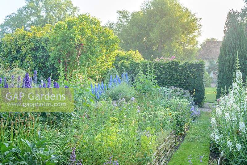 View towards house across walled garden with grass path and wide range of herbaceous perennials including Chamaenerion angustifolium 'Album', delphiniums and hollyhocks.
