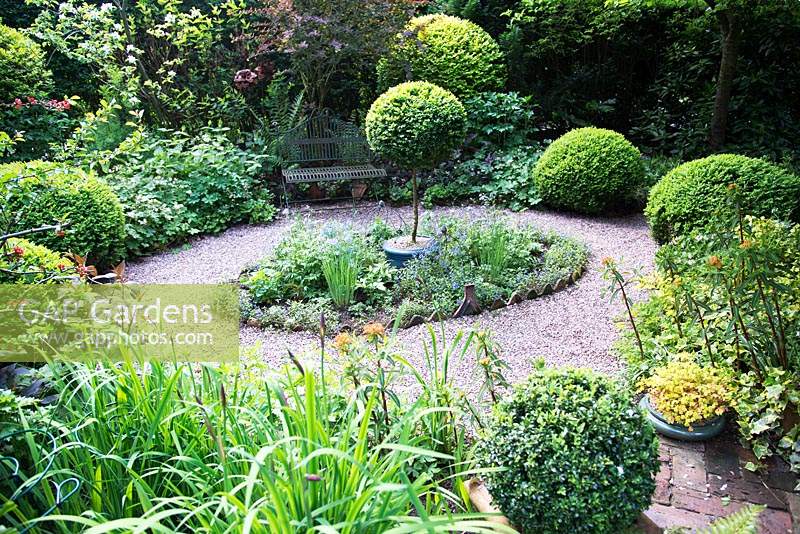 Shaded small town garden with Buxus - Box - topiary around gravel path, circular bed with standard Box in pot