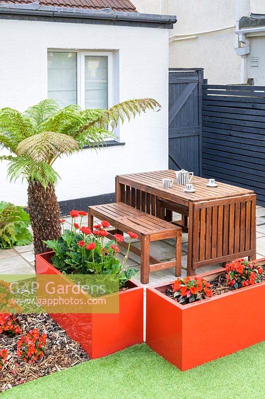 Modern Town Garden in Essex - wooden table and benches, red planters with gerbera and tree fern