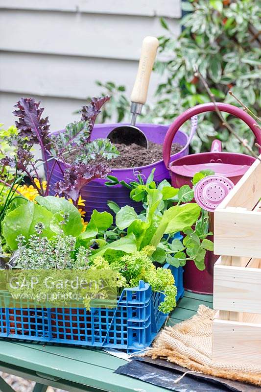 Materials and tools required to make an edible crate planter