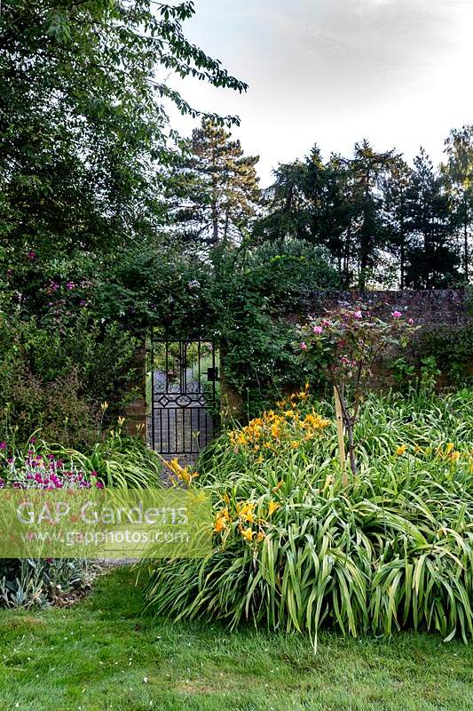 Original border outside wallled garden, with day lilies and Lychnis Coronaria.