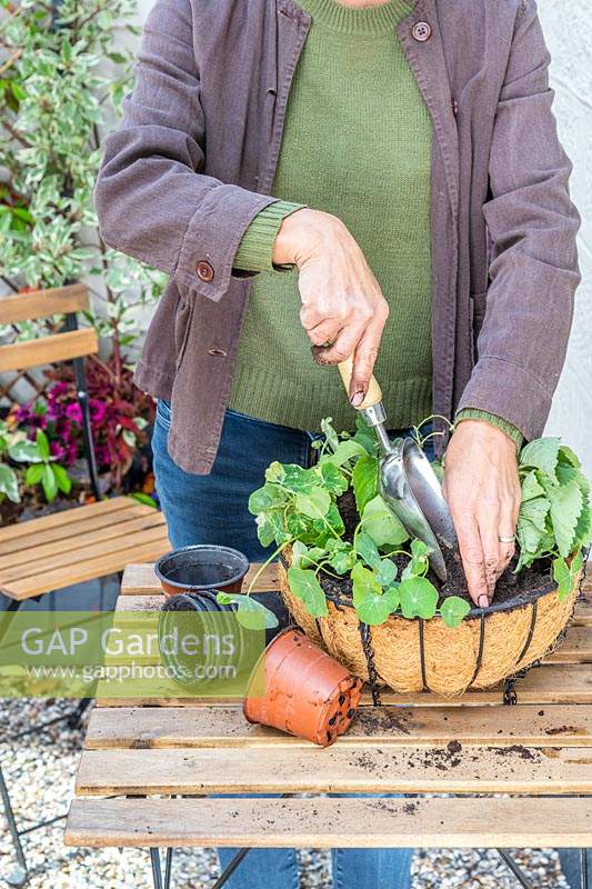 Woman topping up compost in hanging basket with metal scoop