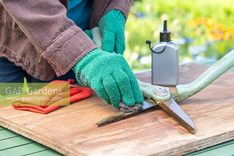 Woman wearing protective gloves whilst using wire wool to clean the blades of a pair of garden shears