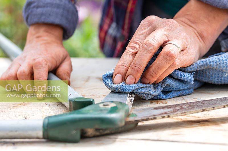 Woman using a cloth rag to clean the blades of a pair of lawn edging sheers