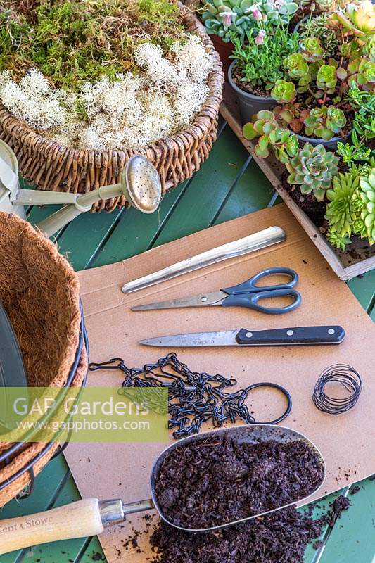 Materials and tools required to make a hanging succulent and alpine ball