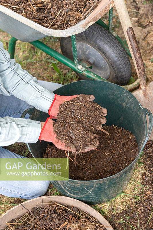 Woman with handful of sieved homemade compost.
