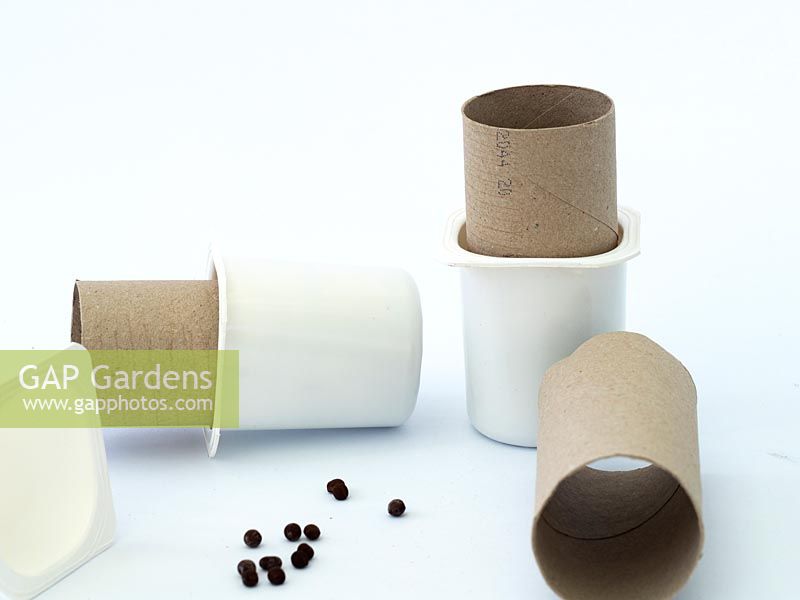 Seeds and recycled yoghurt pots and toilet rolls to be used as pots