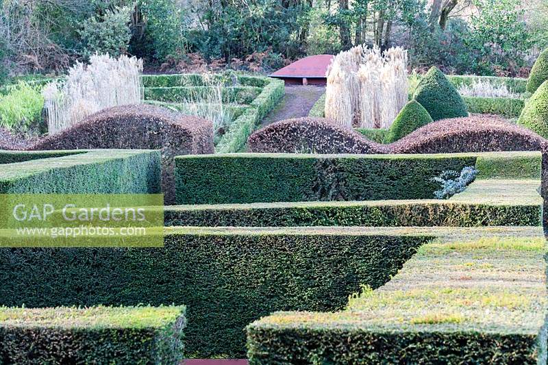 View over formal hedges of Taxus baccata to the Grasses Parterre. Wave form hedge of Fagus sylvatica. 