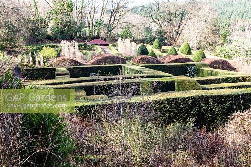 Hedge Gardens to the Grasses Parterre. Wave-form hedge of Fagus sylvatica. Miscanthus sinensis 'Malepartus'. 