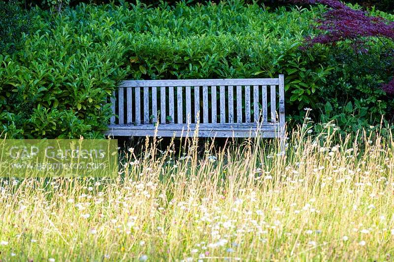 Wooden bench at the edge of The Meadow. Veddw House Garden, Monmouthshire. June