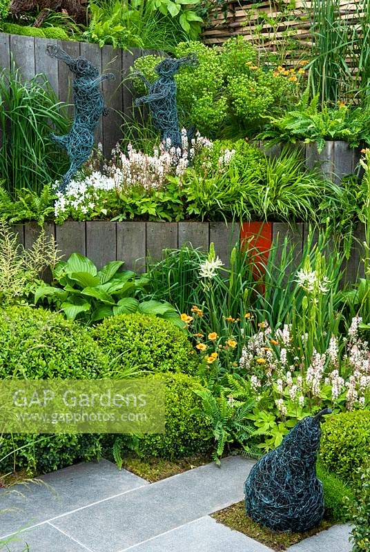 Tiered border of Euphorbias, Ferns, Grasses, Astilbes, Geums, Tiarella cordifolia and clipped Box with wire sculptures - RHS Chelsea Flower Show