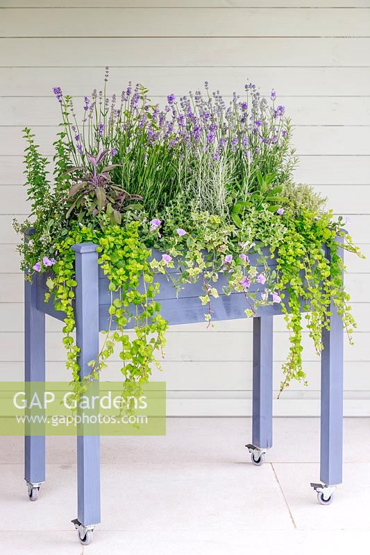 A raised planter on casters planted with herbs and flowers