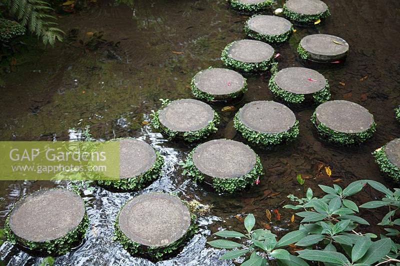 Circular stepping stones acting as a bridge over water 
