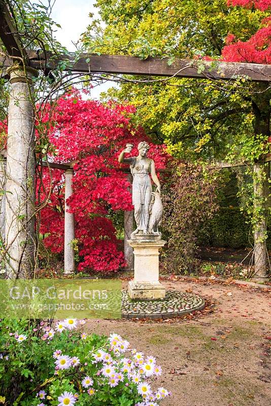 Classical statue on plinth framed by pergola and backdrop of Acer palmatum 'Bloodgood' - Japanese Maple