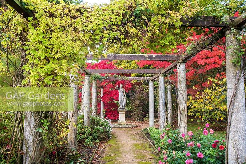 View along pergola of stone uprights with climbers trained up and flower beds beneath, towards statue against background of Acer plamatum - Japanese Maple