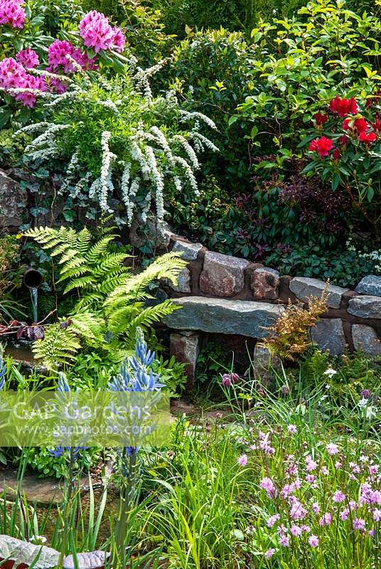 Raised border of shrubs including Rhododendrons,  Spirea and Dogwood above water outlet from natural spring, feeding into a stream edged with Ferns, Fritillaria meleagris, Lychinis flos-cuculi 'Petite Jenny' and Camassia leichtlinii - RHS Malvern Spring Festival