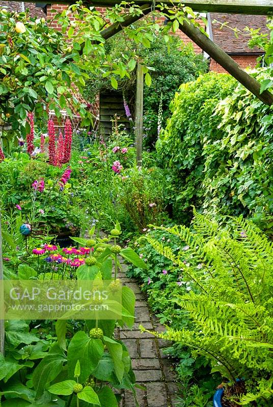 Narrow brick path through herbaceous borders in cottage garden - Open Gardens Day, Coddenham, Suffolk
