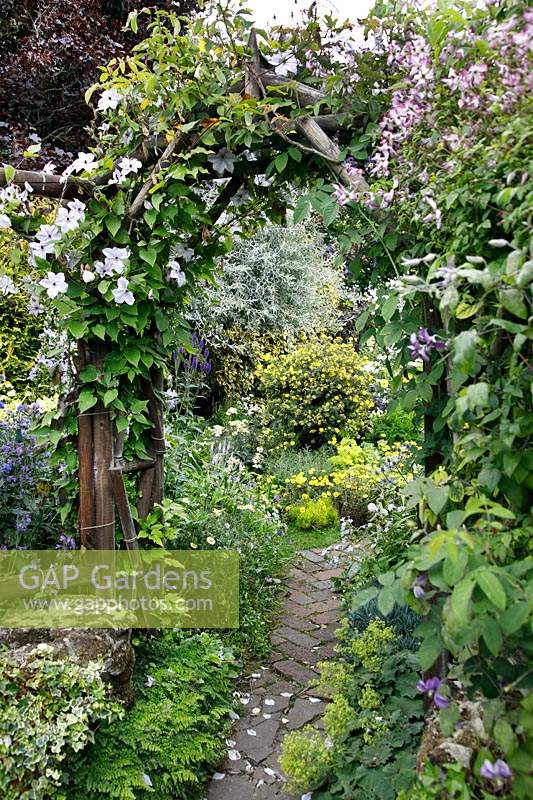 Clematis flowers over a rustic arch in a packed cottage garden