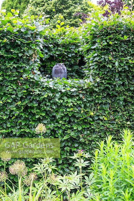 Owl sculpture placed in cut Beech - Fagus hedge