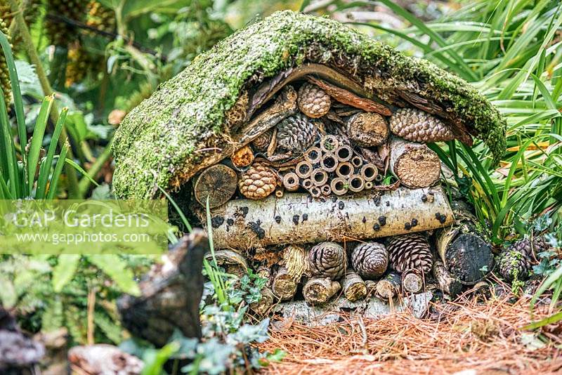Insect hotel made from cones, small branches, bamboo canes and moss